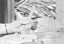 �ʐ^�S�F���������낦��