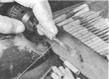 �ʐ^�X�F��������Ɓi�I�[�{�G�j